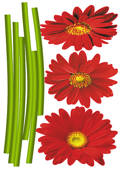 Wandaufkleber. Gerbera (TP128)